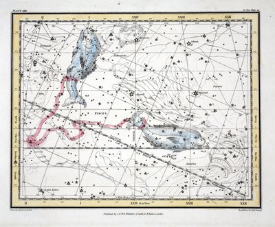 The Constellations (Plate XXII) Pisces, from 